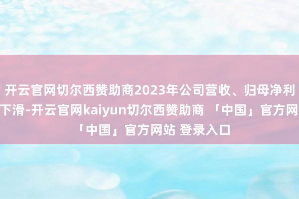 开云官网切尔西赞助商2023年公司营收、归母净利润同比双双下滑-开云官网kaiyun切尔西赞助商 「中国」官方网站 登录入口