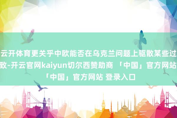 云开体育更关乎中欧能否在乌克兰问题上驱散某些过错性的一致-开云官网kaiyun切尔西赞助商 「中国」官方网站 登录入口