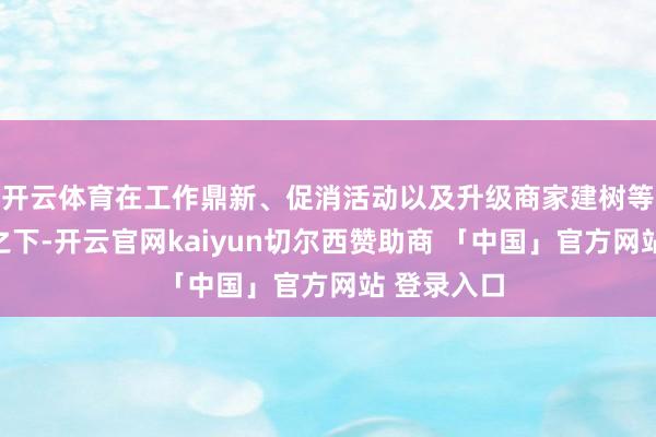 开云体育在工作鼎新、促消活动以及升级商家建树等多措并举之下-开云官网kaiyun切尔西赞助商 「中国」官方网站 登录入口