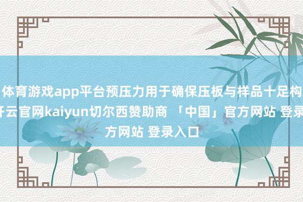 体育游戏app平台预压力用于确保压板与样品十足构兵-开云官网kaiyun切尔西赞助商 「中国」官方网站 登录入口