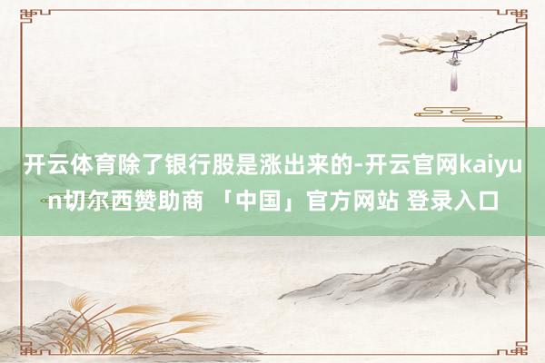 开云体育除了银行股是涨出来的-开云官网kaiyun切尔西赞助商 「中国」官方网站 登录入口